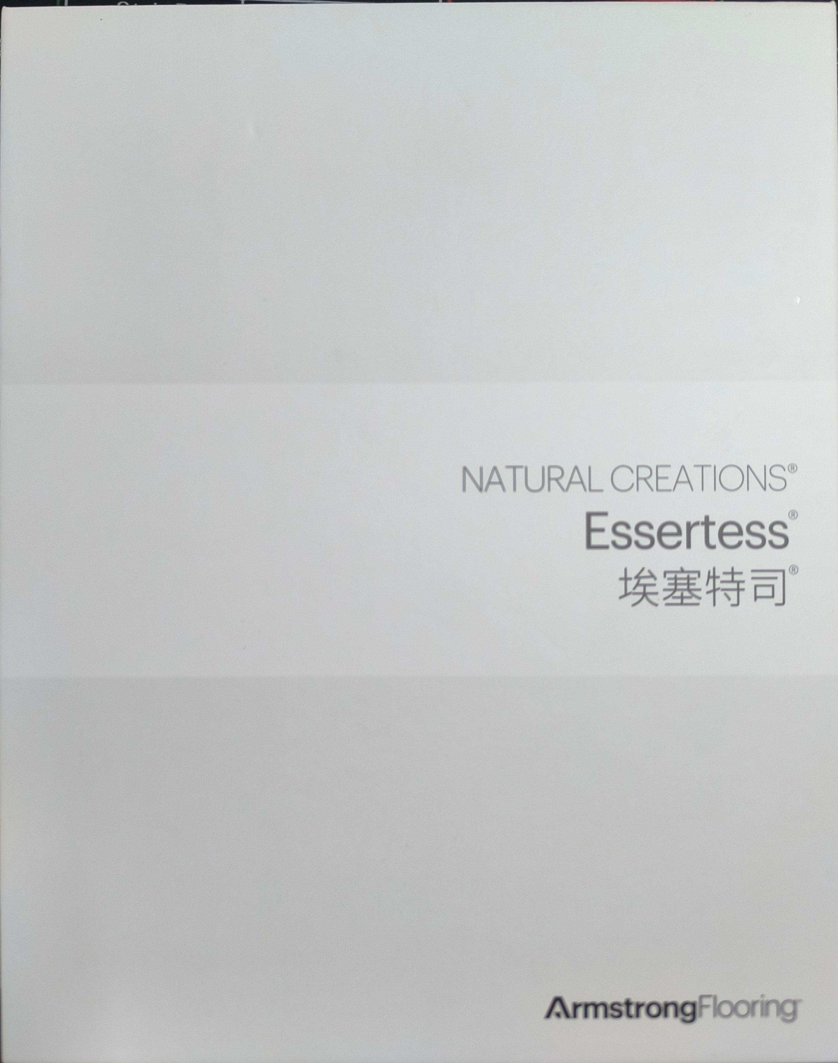 埃塞特司系列